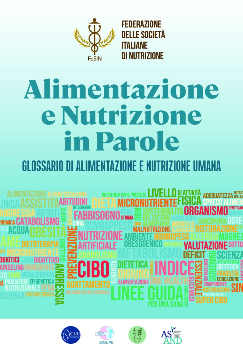 FESIN GLOSSARIO VERSIONE FINALE PER STAMPA Pagina 01